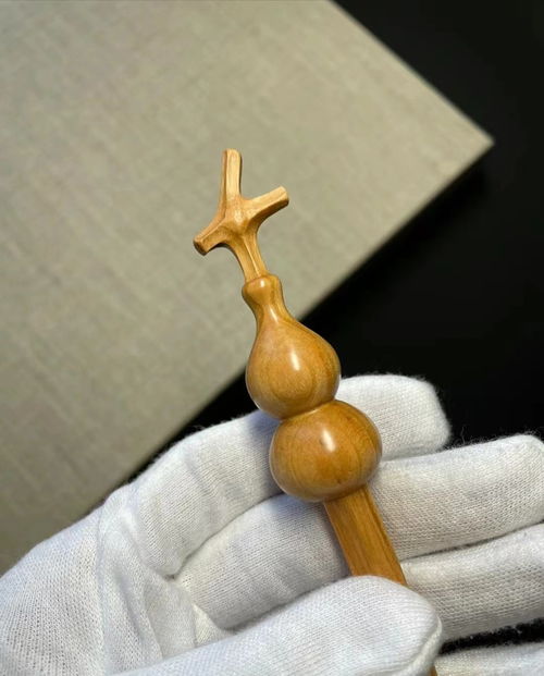 桃韻古都，文創花開——第四十一屆蘭州桃花會盛大開幕